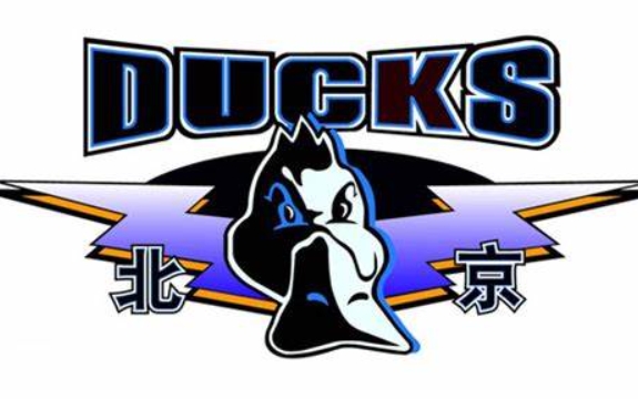 मीडियाकर्मी: नए सीज़न के लिए बीजिंग पुरुष बास्केटबॉल टीम का घरेलू स्थान शौगांग आइस एरिना और वुकेसॉन्ग जिम्नेजियम निर्धारित किया गया है।