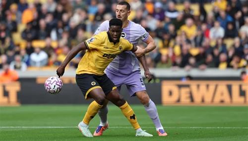 भेड़ियों बनाम ब्राइटन